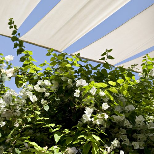 © Fondation Jardin Majorelle, Nicolas Mathéus