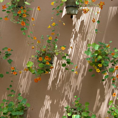 © Fondation Jardin Majorelle, Nicolas Mathéus